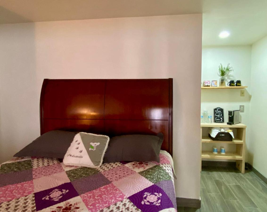 Kalanchoe Poshtel Suites Las Palmas  외부 사진