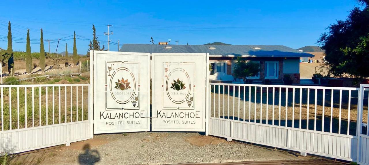 Kalanchoe Poshtel Suites Las Palmas  외부 사진