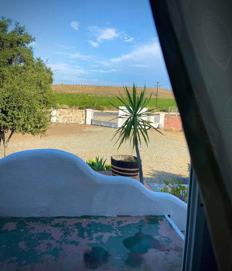 Kalanchoe Poshtel Suites Las Palmas  외부 사진